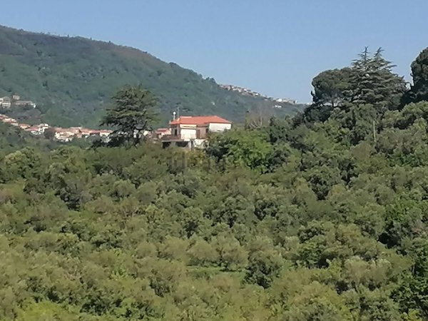 casa indipendente in vendita a Casal Velino