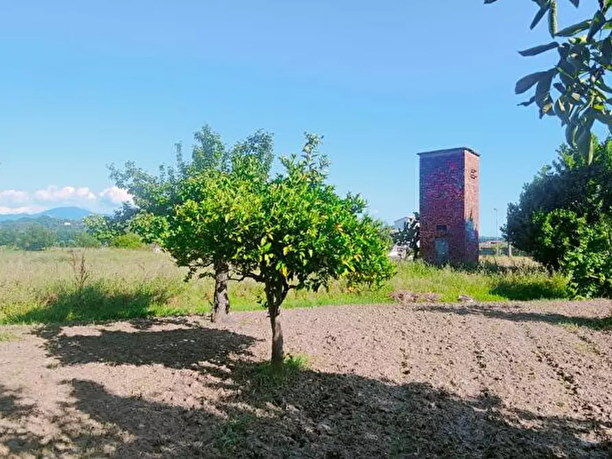 terreno agricolo in vendita a Casal Velino in zona Acquavella