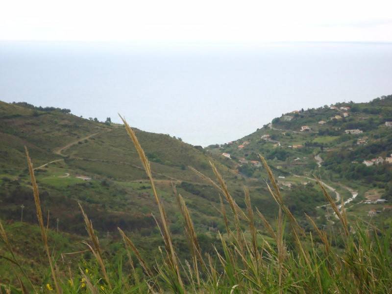 terreno agricolo in vendita a Casal Velino