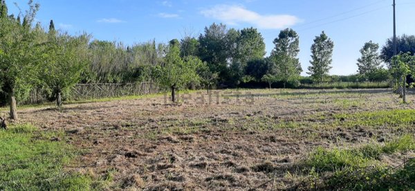 terreno agricolo in vendita a Casal Velino