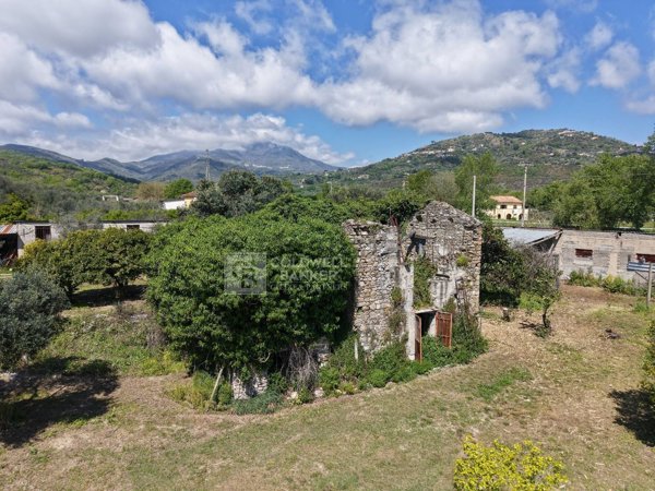 esavano in vendita a Casal Velino