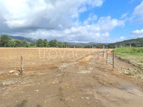 terreno agricolo in vendita a Casal Velino