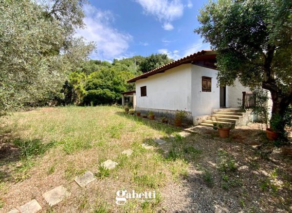 appartamento in vendita a Casal Velino