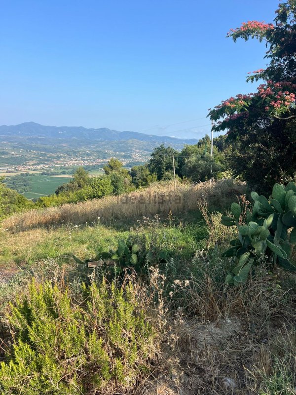 terreno agricolo in vendita a Casal Velino in zona Verduzio