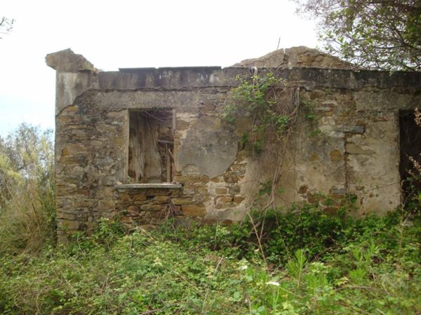 terreno agricolo in vendita a Casal Velino