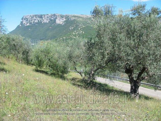 terreno agricolo in vendita a Castelcivita