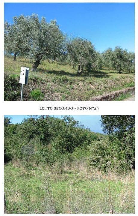 terreno agricolo in vendita a Castelcivita
