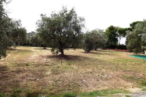 terreno agricolo in vendita a Castellabate in zona Alano