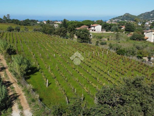 terreno agricolo in vendita a Castellabate in zona San Marco