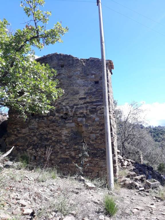 terreno agricolo in vendita a Castellabate