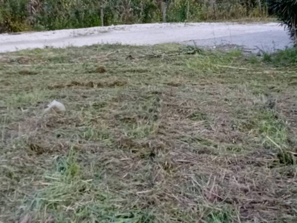 terreno agricolo in vendita a Castellabate