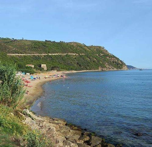 terreno agricolo in vendita a Castellabate in zona Ogliastro Marina