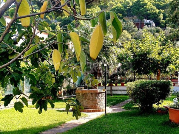 appartamento in vendita a Castellabate