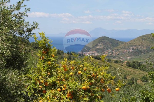 appartamento in vendita a Castellabate