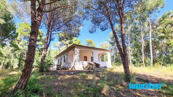 casa indipendente in vendita a Castellabate in zona Licosa