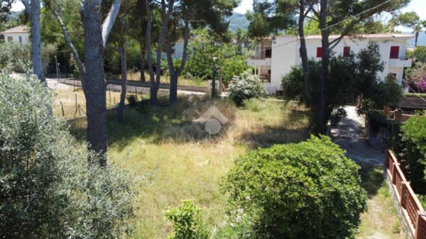 terreno agricolo in vendita a Castellabate