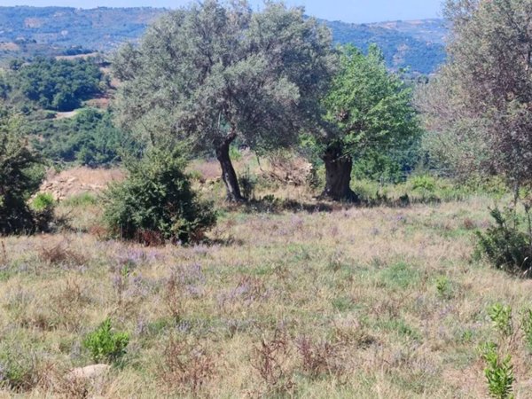 casa indipendente in vendita a Castellabate in zona Alano