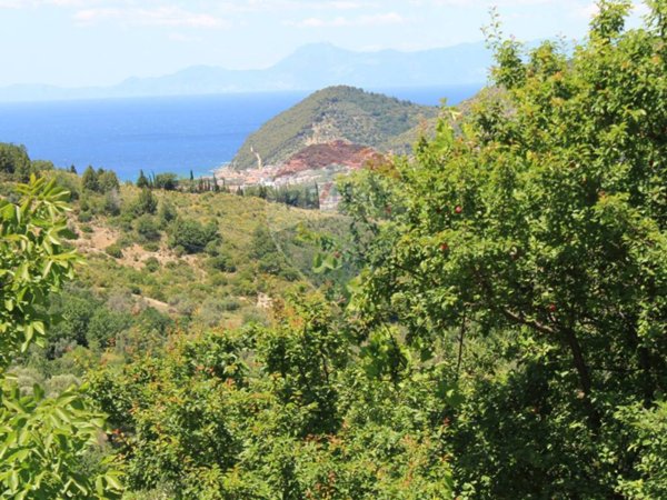 appartamento in vendita a Castellabate