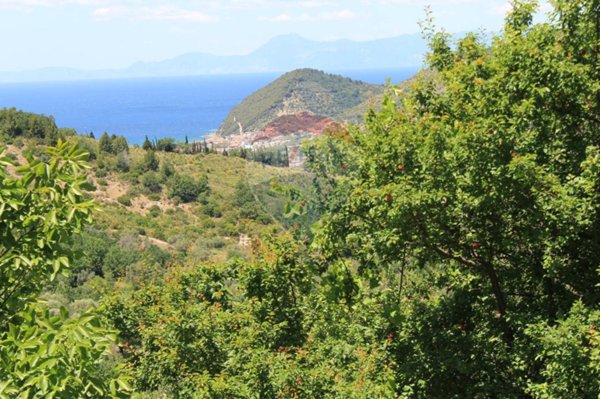 appartamento in vendita a Castellabate