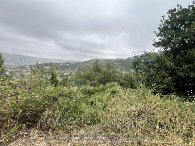 terreno agricolo in vendita a Castellabate