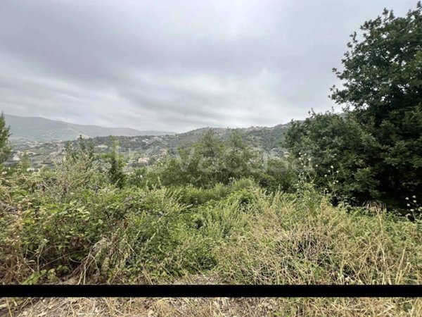 terreno agricolo in vendita a Castellabate