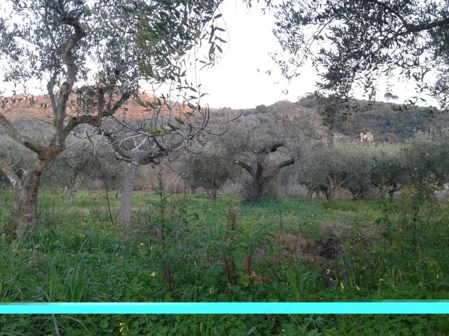 terreno agricolo in vendita a Castellabate in zona San Marco