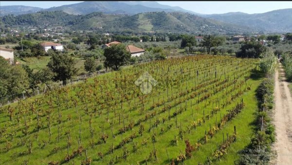 terreno agricolo in vendita a Castellabate in zona San Marco