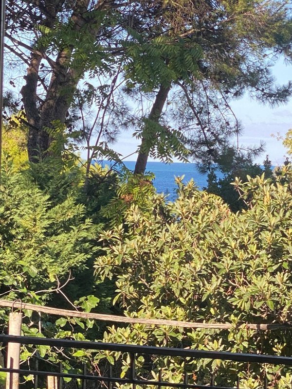 casa indipendente in vendita a Castellabate