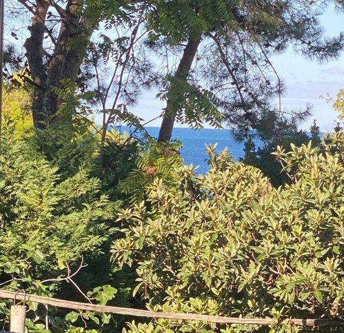 casa indipendente in vendita a Castellabate