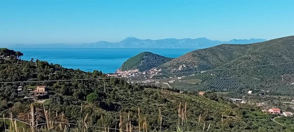 appartamento in vendita a Castellabate