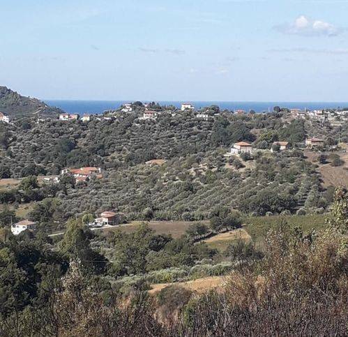 casa indipendente in vendita a Castellabate