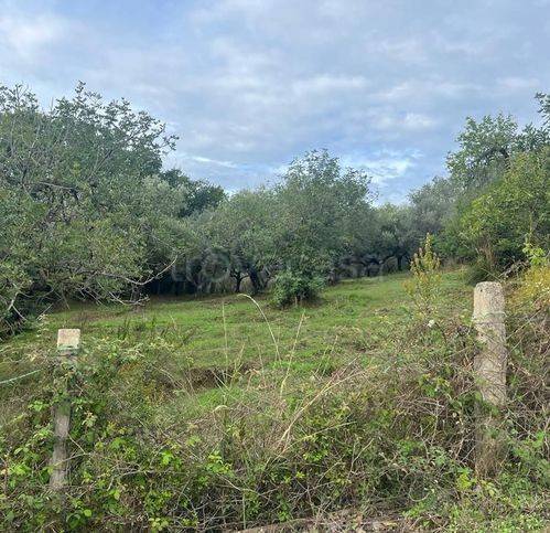 terreno agricolo in vendita a Castellabate in zona Alano