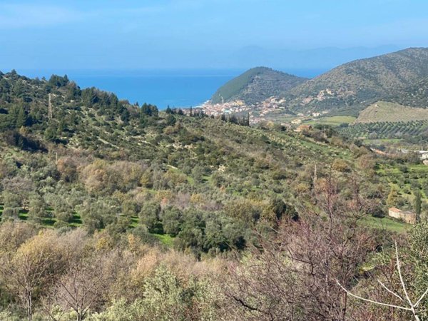 casa indipendente in vendita a Castellabate in zona Santa Maria