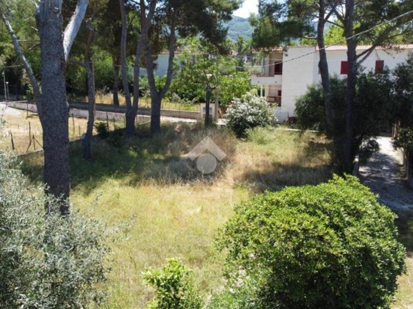 terreno edificabile in vendita a Castellabate in zona Santa Maria