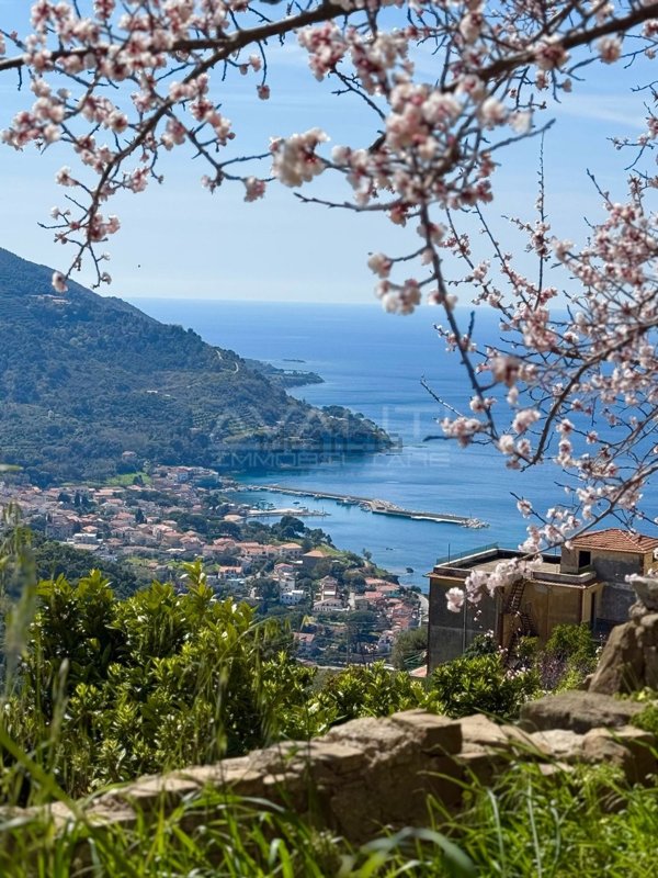 appartamento in vendita a Castellabate