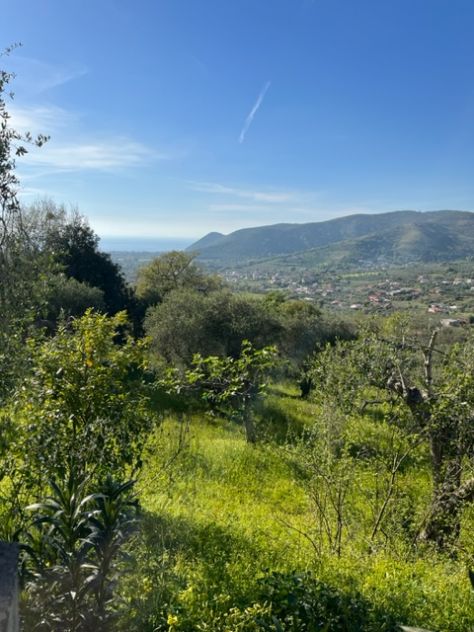 appartamento in vendita a Castellabate