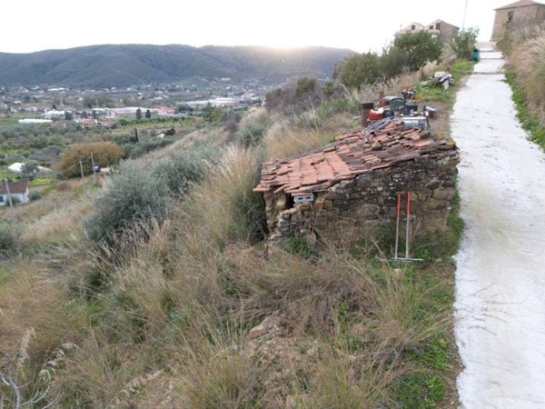 terreno agricolo in vendita a Castellabate in zona Ogliastro Marina