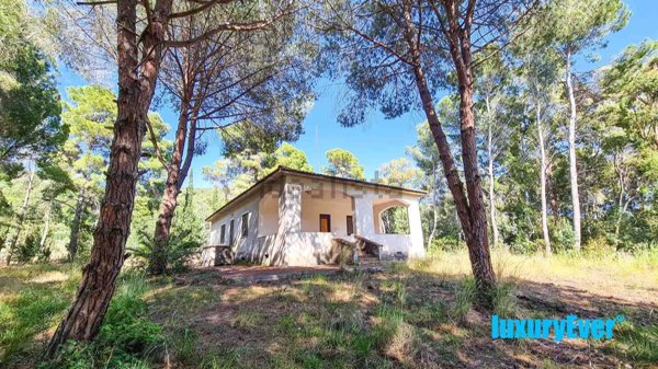 quadrivano in vendita a Castellabate