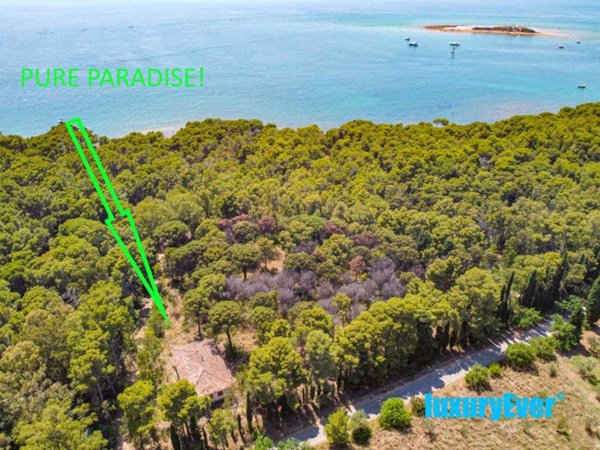 casa indipendente in vendita a Castellabate