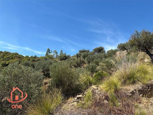 casale in vendita a Castellabate