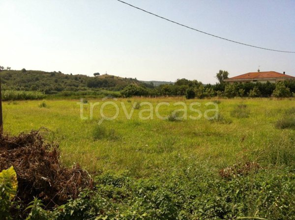 appartamento in vendita a Castelnuovo Cilento