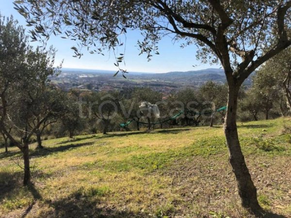 terreno agricolo in vendita a Castelnuovo Cilento in zona Velina