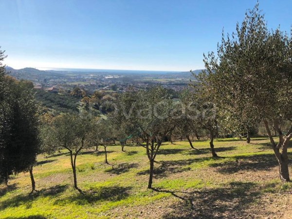 terreno agricolo in vendita a Castelnuovo Cilento in zona Velina