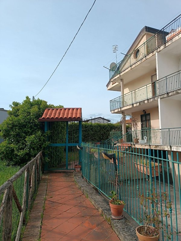 pentavano in vendita a Castelnuovo Cilento in zona Velina