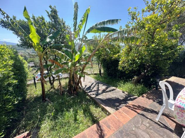 appartamento in vendita a Castelnuovo Cilento