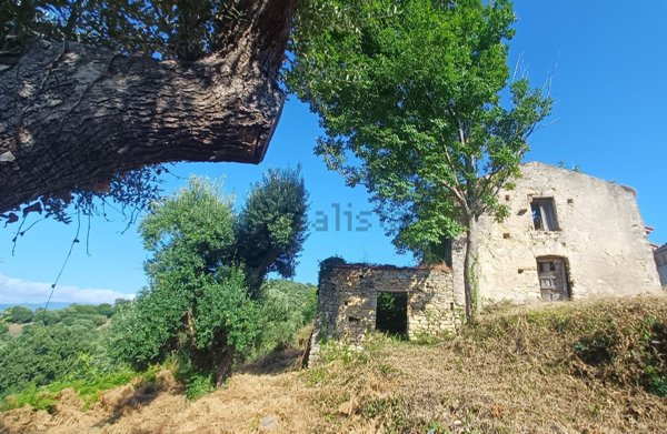 appartamento in vendita a Castelnuovo Cilento