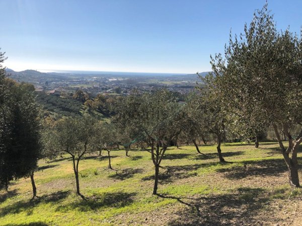 terreno agricolo in vendita a Castelnuovo Cilento in zona Velina