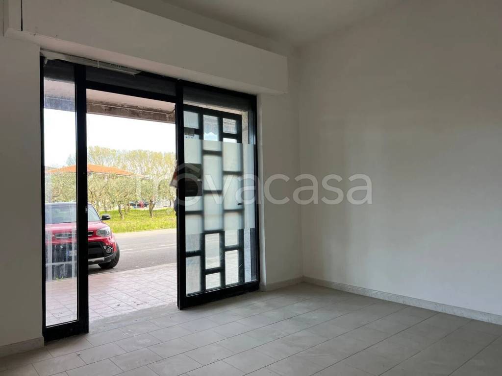 negozio in vendita a Castelnuovo Cilento in zona Velina