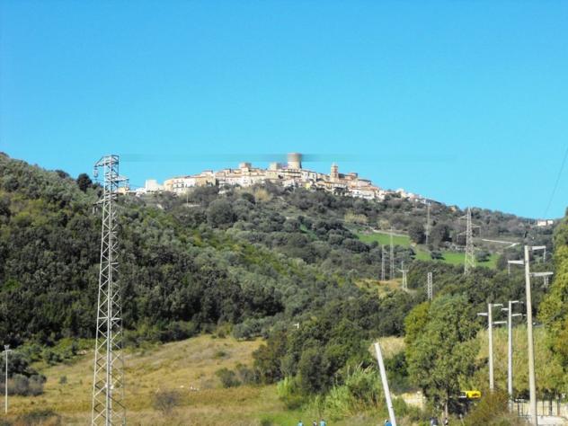 terreno agricolo in vendita a Castelnuovo Cilento