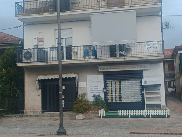 appartamento in vendita a Castelnuovo Cilento in zona Velina